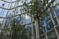ISO PyranS als Glasfassade